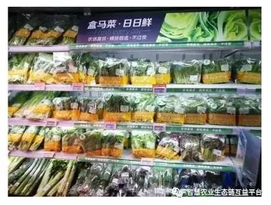 站在新零售的風口 農產品供應鏈如何擁抱變革