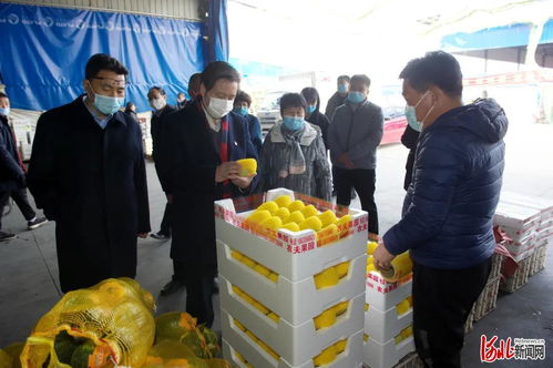 守護舌尖安全 柳金鐘實地檢查，邢臺市食用農產品信息追溯系統建設加速
