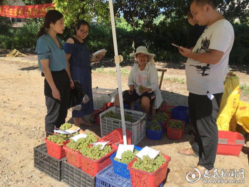 從田間到餐桌的安心承諾——解讀漣源市食用農產品合格證制度